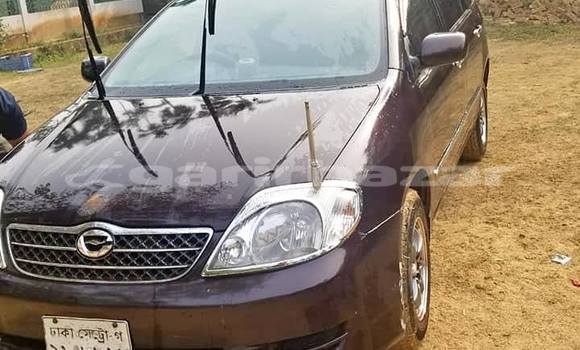 কেনা ব্যবহৃত Toyota Fielder Brown গাড়ী মধ্যে ঢাকা মধ্যে Dhaka কেনা ব্যবহৃত Toyota Fielder Brown গাড়ী মধ্যে ঢাকা মধ্যে Dhaka
