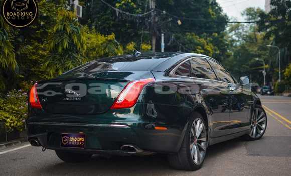 Buy Used 2014 Jaguar XJ in Dhaka, Dhaka Buy Used 2014 Jaguar XJ in Dhaka, Dhaka