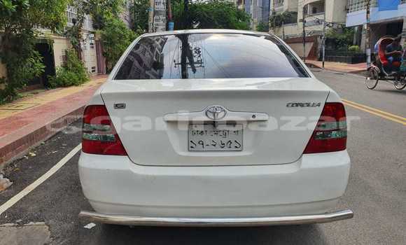 Buy Used 2000 Toyota Corolla in Dhaka, Dhaka Buy Used 2000 Toyota Corolla in Dhaka, Dhaka