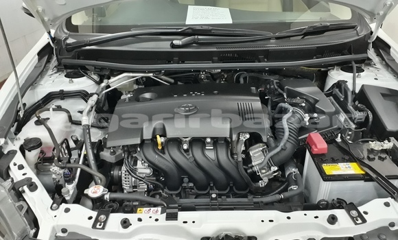 Buy Import 2019 Toyota Premio in Dhaka, Dhaka Buy Import 2019 Toyota Premio in Dhaka, Dhaka