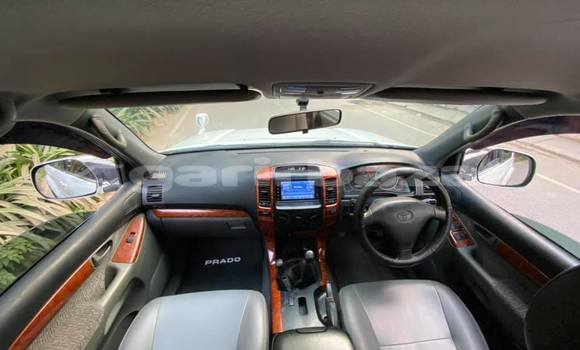 কেনা ব্যবহৃত Toyota Land Cruiser Prado White গাড়ী মধ্যে ঢাকা মধ্যে Dhaka কেনা ব্যবহৃত Toyota Land Cruiser Prado White গাড়ী মধ্যে ঢাকা মধ্যে Dhaka