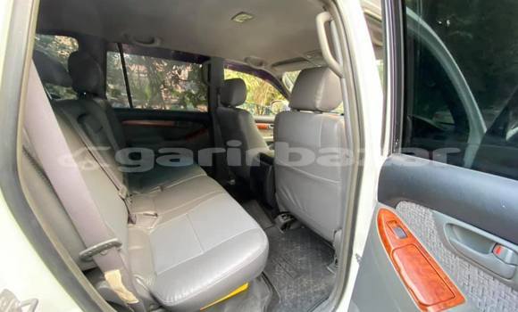কেনা ব্যবহৃত Toyota Land Cruiser Prado White গাড়ী মধ্যে ঢাকা মধ্যে Dhaka কেনা ব্যবহৃত Toyota Land Cruiser Prado White গাড়ী মধ্যে ঢাকা মধ্যে Dhaka