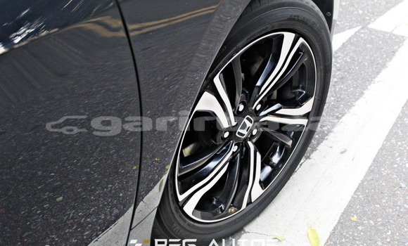 Buy Used Honda Car Buy Used Honda Car