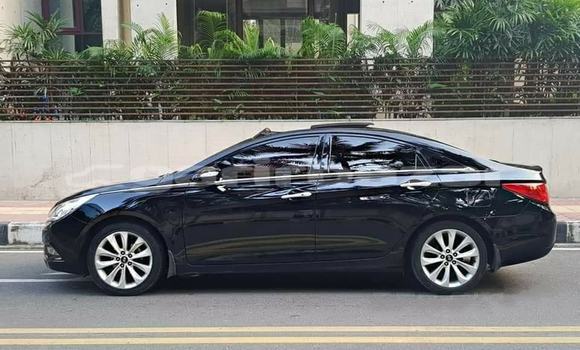 কেনা ব্যবহৃত Hyundai Sonata Black গাড়ী মধ্যে ঢাকা মধ্যে Dhaka কেনা ব্যবহৃত Hyundai Sonata Black গাড়ী মধ্যে ঢাকা মধ্যে Dhaka