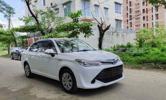 Buy Import 2016 Toyota Axio in Dhaka, Dhaka Buy Import 2016 Toyota Axio in Dhaka, Dhaka