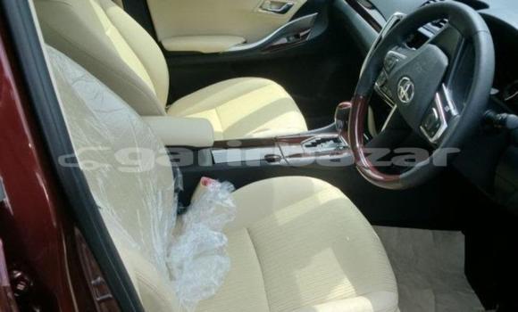 কেনা আমদানি Toyota Premio Red গাড়ী মধ্যে ঢাকা মধ্যে Dhaka কেনা আমদানি Toyota Premio Red গাড়ী মধ্যে ঢাকা মধ্যে Dhaka