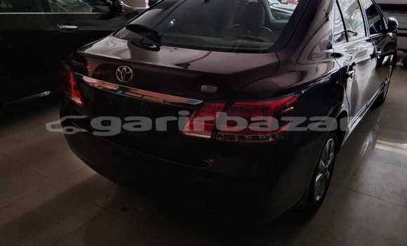কেনা আমদানি Toyota Premio Red গাড়ী মধ্যে ঢাকা মধ্যে Dhaka কেনা আমদানি Toyota Premio Red গাড়ী মধ্যে ঢাকা মধ্যে Dhaka