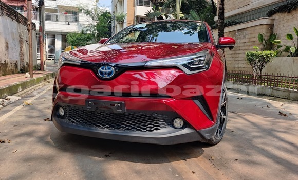 কেনা আমদানি Toyota CH-R Red গাড়ী মধ্যে ঢাকা মধ্যে Dhaka কেনা আমদানি Toyota CH-R Red গাড়ী মধ্যে ঢাকা মধ্যে Dhaka