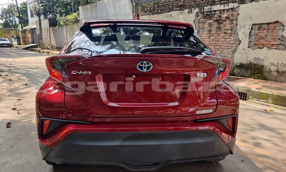 কেনা আমদানি Toyota CH-R Red গাড়ী মধ্যে ঢাকা মধ্যে Dhaka কেনা আমদানি Toyota CH-R Red গাড়ী মধ্যে ঢাকা মধ্যে Dhaka