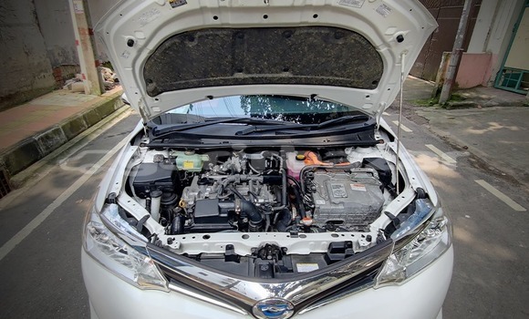 কেনা আমদানি Toyota Fielder White গাড়ী মধ্যে ঢাকা মধ্যে Dhaka কেনা আমদানি Toyota Fielder White গাড়ী মধ্যে ঢাকা মধ্যে Dhaka