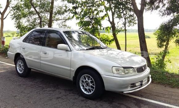 Buy Used Toyota Corolla in Silhat, Silhat Buy Used Toyota Corolla in Silhat, Silhat
