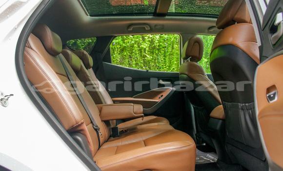 Buy Used Hyundai Car Buy Used Hyundai Car