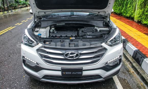 Buy Used Hyundai Car Buy Used Hyundai Car