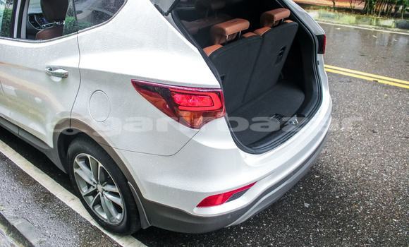 Buy Used Hyundai Car Buy Used Hyundai Car