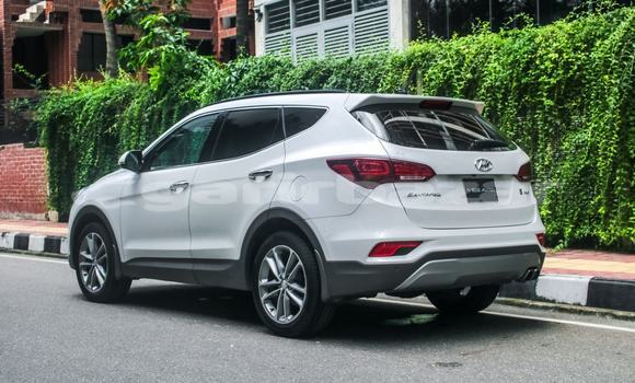 Buy Used Hyundai Car Buy Used Hyundai Car