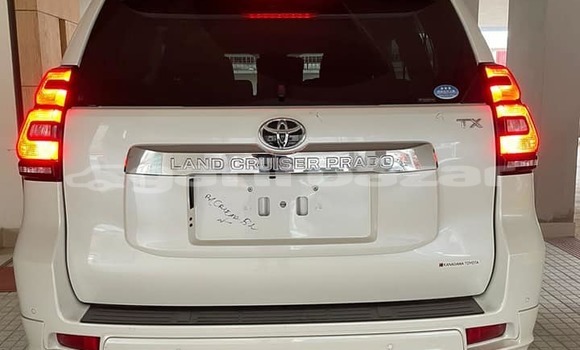 কেনা আমদানি Toyota Prado White গাড়ী মধ্যে ঢাকা মধ্যে Dhaka কেনা আমদানি Toyota Prado White গাড়ী মধ্যে ঢাকা মধ্যে Dhaka