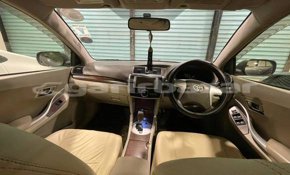 কেনা ব্যবহৃত Toyota Premio Grey গাড়ী মধ্যে ঢাকা মধ্যে Dhaka কেনা ব্যবহৃত Toyota Premio Grey গাড়ী মধ্যে ঢাকা মধ্যে Dhaka