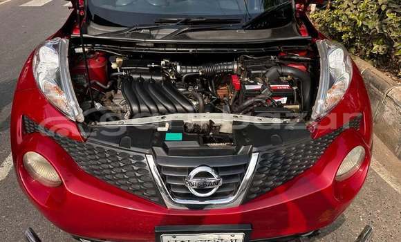কেনা ব্যবহৃত Nissan Juke Red গাড়ী মধ্যে ঢাকা মধ্যে Dhaka কেনা ব্যবহৃত Nissan Juke Red গাড়ী মধ্যে ঢাকা মধ্যে Dhaka