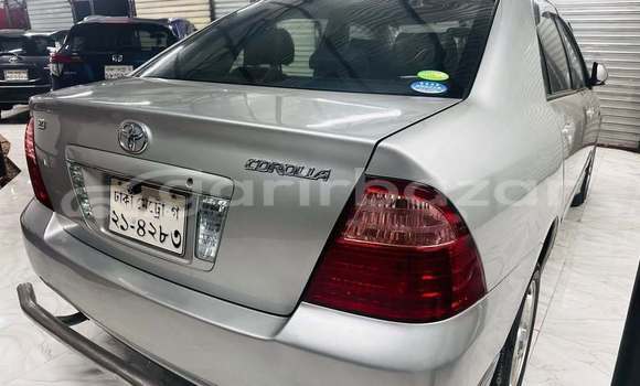 কেনা ব্যবহৃত Toyota X corolla Other গাড়ী মধ্যে ঢাকা মধ্যে Dhaka কেনা ব্যবহৃত Toyota X corolla Other গাড়ী মধ্যে ঢাকা মধ্যে Dhaka