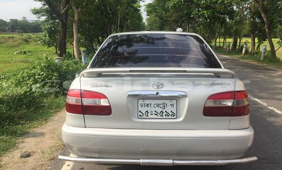 Buy Used Toyota Corolla in Silhat, Silhat Buy Used Toyota Corolla in Silhat, Silhat