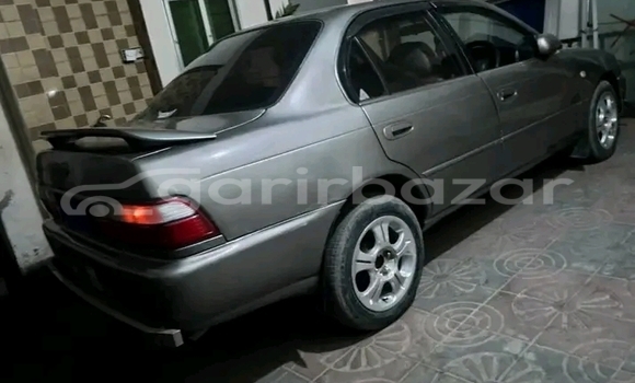 কেনা ব্যবহৃত Toyota T100 Other গাড়ী মধ্যে বাজিতপুর মধ্যে Kishorganj কেনা ব্যবহৃত Toyota T100 Other গাড়ী মধ্যে বাজিতপুর মধ্যে Kishorganj