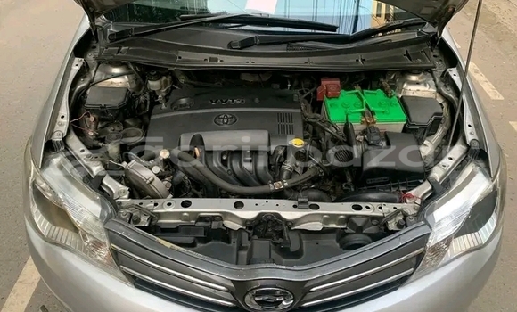 কেনা ব্যবহৃত Toyota Axio Other গাড়ী মধ্যে বাজিতপুর মধ্যে Kishorganj কেনা ব্যবহৃত Toyota Axio Other গাড়ী মধ্যে বাজিতপুর মধ্যে Kishorganj