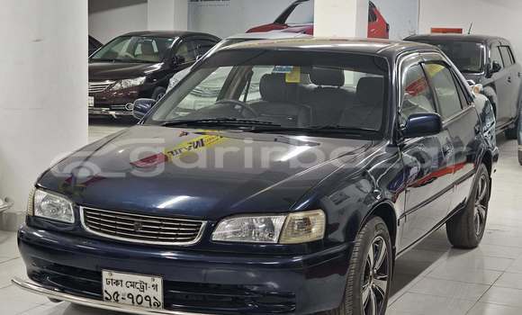 কেনা ব্যবহৃত Toyota corolla Blue গাড়ী মধ্যে ঢাকা মধ্যে Dhaka কেনা ব্যবহৃত Toyota corolla Blue গাড়ী মধ্যে ঢাকা মধ্যে Dhaka