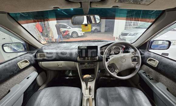 কেনা ব্যবহৃত Toyota corolla Blue গাড়ী মধ্যে ঢাকা মধ্যে Dhaka কেনা ব্যবহৃত Toyota corolla Blue গাড়ী মধ্যে ঢাকা মধ্যে Dhaka