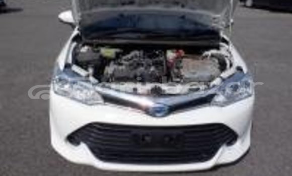 Buy Used 2019 Toyota Axio in Dhaka, Dhaka Buy Used 2019 Toyota Axio in Dhaka, Dhaka