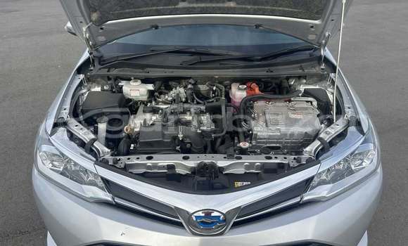 কেনা ব্যবহৃত Toyota axio fielder Other গাড়ী মধ্যে ঢাকা মধ্যে Dhaka কেনা ব্যবহৃত Toyota axio fielder Other গাড়ী মধ্যে ঢাকা মধ্যে Dhaka