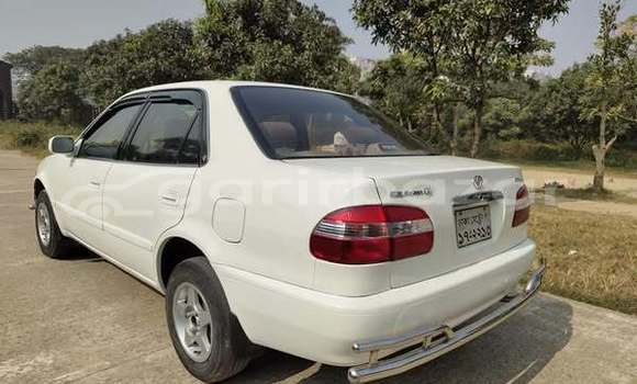 Buy Used 1999 Toyota Axio x in Dhaka, Dhaka Buy Used 1999 Toyota Axio x in Dhaka, Dhaka