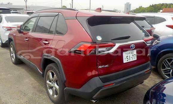 কেনা ব্যবহৃত Toyota RAV4 Red গাড়ী মধ্যে ঢাকা মধ্যে Dhaka কেনা ব্যবহৃত Toyota RAV4 Red গাড়ী মধ্যে ঢাকা মধ্যে Dhaka