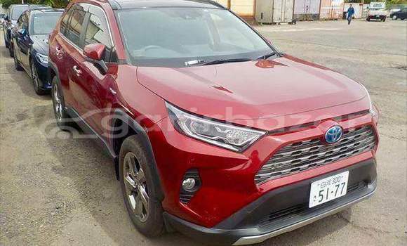 কেনা ব্যবহৃত Toyota RAV4 Red গাড়ী মধ্যে ঢাকা মধ্যে Dhaka কেনা ব্যবহৃত Toyota RAV4 Red গাড়ী মধ্যে ঢাকা মধ্যে Dhaka