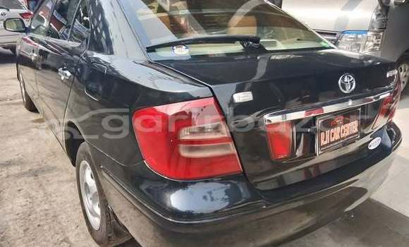 Buy Used 2008 Toyota Nadia in Dhaka, Dhaka Buy Used 2008 Toyota Nadia in Dhaka, Dhaka