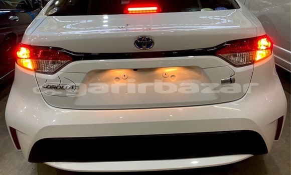 Buy Import 2020 Toyota Corolla in Dhaka, Dhaka Buy Import 2020 Toyota Corolla in Dhaka, Dhaka