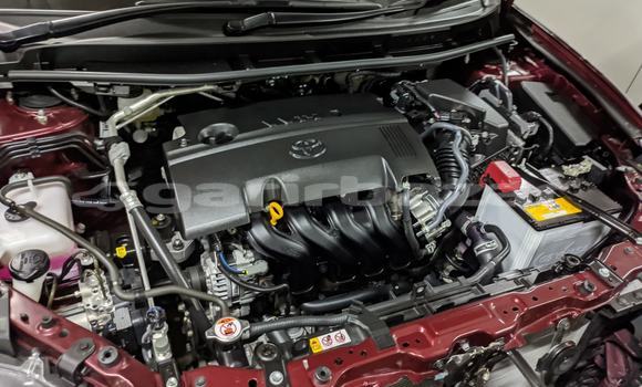 Buy Used 2019 Toyota Premio in Dhaka, Dhaka Buy Used 2019 Toyota Premio in Dhaka, Dhaka