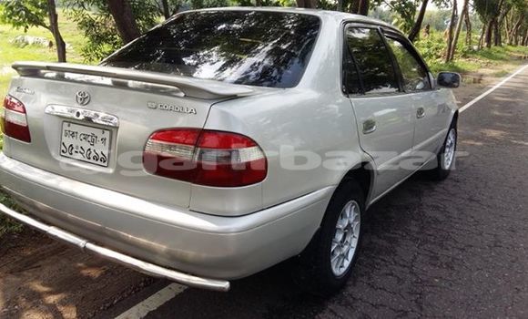Buy Used Toyota Corolla in Silhat, Silhat Buy Used Toyota Corolla in Silhat, Silhat