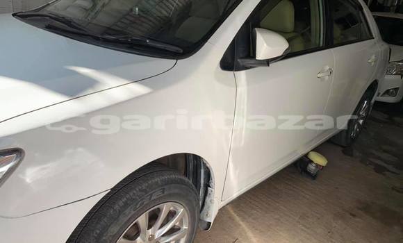 কেনা ব্যবহৃত Toyota Allion White গাড়ী মধ্যে ঢাকা মধ্যে Dhaka কেনা ব্যবহৃত Toyota Allion White গাড়ী মধ্যে ঢাকা মধ্যে Dhaka