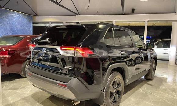 Buy New 2021 Toyota Rav 4 in Dhaka, Dhaka Buy New 2021 Toyota Rav 4 in Dhaka, Dhaka