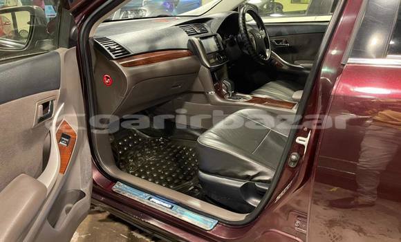 কেনা ব্যবহৃত Toyota Premio Red গাড়ী মধ্যে ঢাকা মধ্যে Dhaka কেনা ব্যবহৃত Toyota Premio Red গাড়ী মধ্যে ঢাকা মধ্যে Dhaka