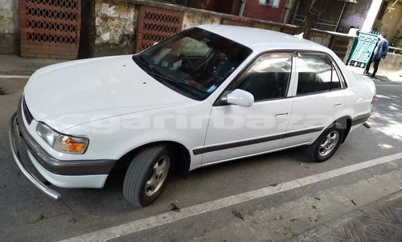 কেনা ব্যবহৃত Toyota Corolla White গাড়ী মধ্যে ঢাকা মধ্যে Dhaka কেনা ব্যবহৃত Toyota Corolla White গাড়ী মধ্যে ঢাকা মধ্যে Dhaka