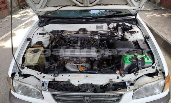 কেনা ব্যবহৃত Toyota Corolla White গাড়ী মধ্যে ঢাকা মধ্যে Dhaka কেনা ব্যবহৃত Toyota Corolla White গাড়ী মধ্যে ঢাকা মধ্যে Dhaka
