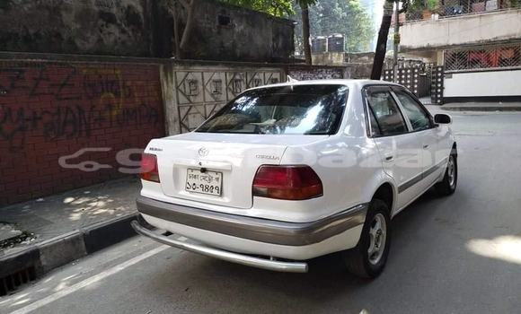 কেনা ব্যবহৃত Toyota Corolla White গাড়ী মধ্যে ঢাকা মধ্যে Dhaka কেনা ব্যবহৃত Toyota Corolla White গাড়ী মধ্যে ঢাকা মধ্যে Dhaka