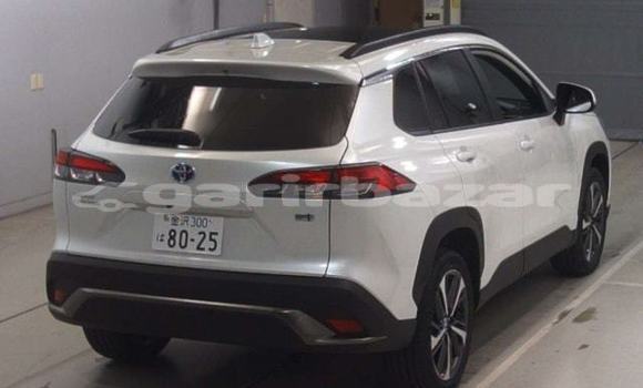 Buy New 2021 Toyota Corolla Cross in Dhaka, Dhaka