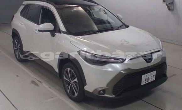 কেনা নতুন Toyota Corolla Cross Grey গাড়ী মধ্যে ঢাকা মধ্যে Dhaka কেনা নতুন Toyota Corolla Cross Grey গাড়ী মধ্যে ঢাকা মধ্যে Dhaka