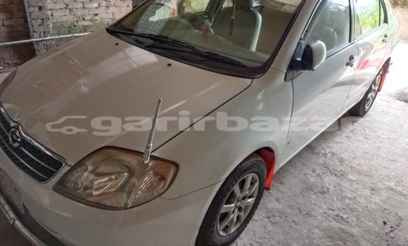 কেনা ব্যবহৃত Toyota Corolla White গাড়ী মধ্যে ঢাকা মধ্যে Dhaka কেনা ব্যবহৃত Toyota Corolla White গাড়ী মধ্যে ঢাকা মধ্যে Dhaka