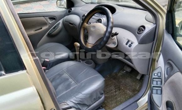 Buy Used 2000 Toyota Platz in Dhaka, Dhaka Buy Used 2000 Toyota Platz in Dhaka, Dhaka