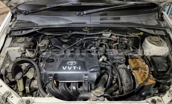 Buy Used 2003 Toyota Probox in Dhaka, Dhaka Buy Used 2003 Toyota Probox in Dhaka, Dhaka