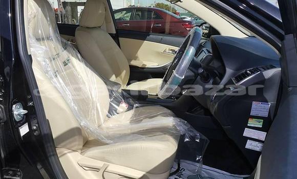 Buy Import 2017 Toyota Premio in Dhaka, Dhaka Buy Import 2017 Toyota Premio in Dhaka, Dhaka