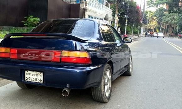 কেনা ব্যবহৃত Toyota Corolla Blue গাড়ী মধ্যে ঢাকা মধ্যে Dhaka কেনা ব্যবহৃত Toyota Corolla Blue গাড়ী মধ্যে ঢাকা মধ্যে Dhaka